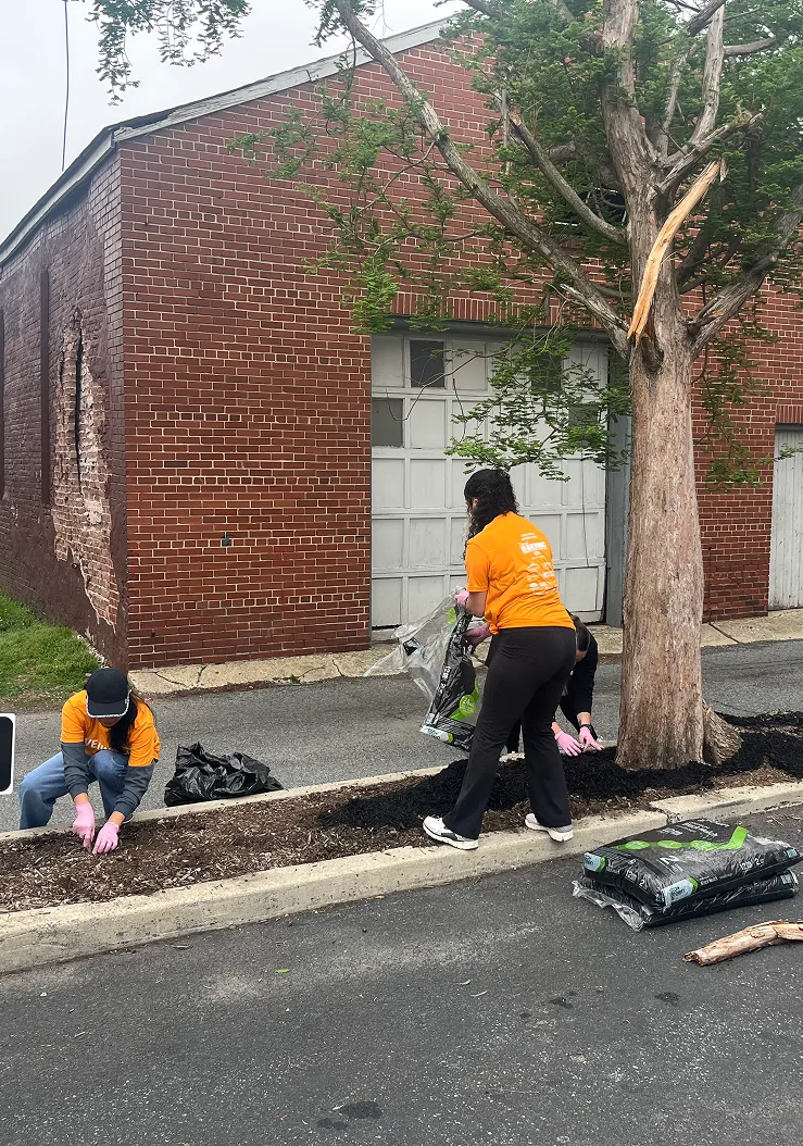 Two people planting a tree on a city sidewalk near a brick building.
